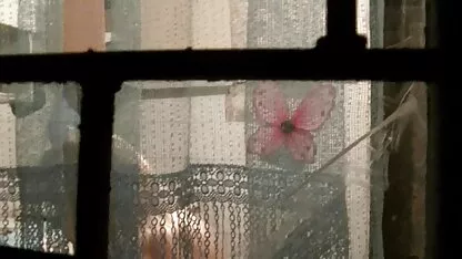 از blowjob دانشجویی دانلود فیلم سکسی التا اوشن آسیایی